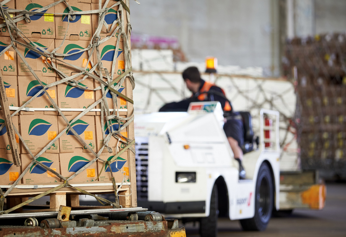 airport suppliers providing cargo for local supply chain